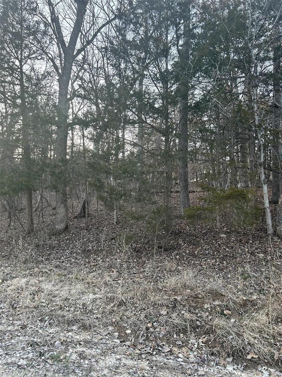 121 Briarwood Ter, De Soto, MO 63020 - photo 2