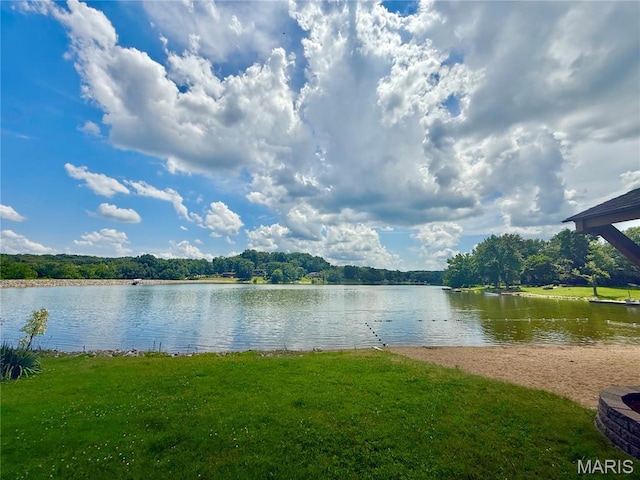 65 E Lakewood Dr, Fenton, MO 63026 - photo 30
