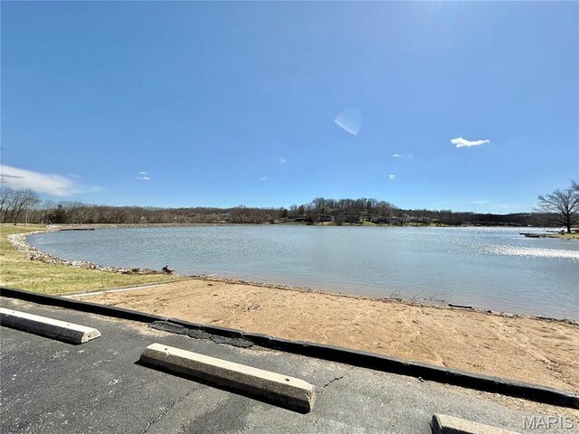 65 E Lakewood Dr, Fenton, MO 63026 - photo 31