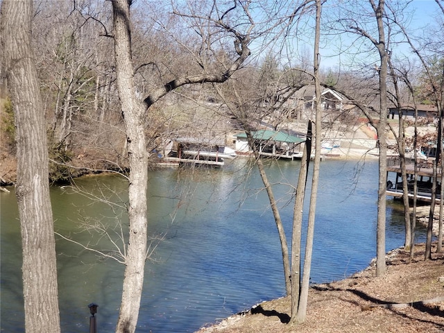 8774 E Chinquapin Ave E, Effingham, IL 62401 - dock featuring a water view