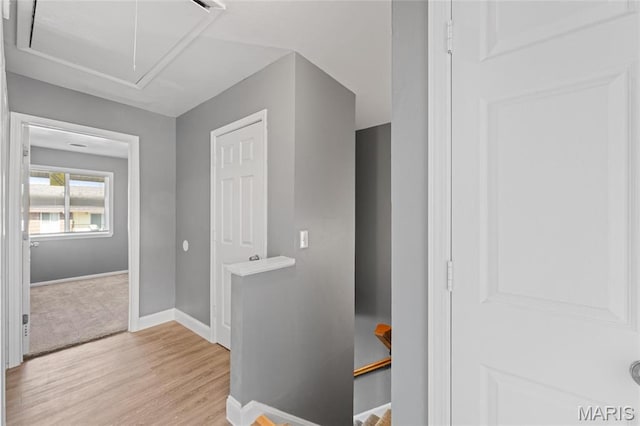 7722 Hazelcrest, Hazelwood, MO 63042 - photo 13
