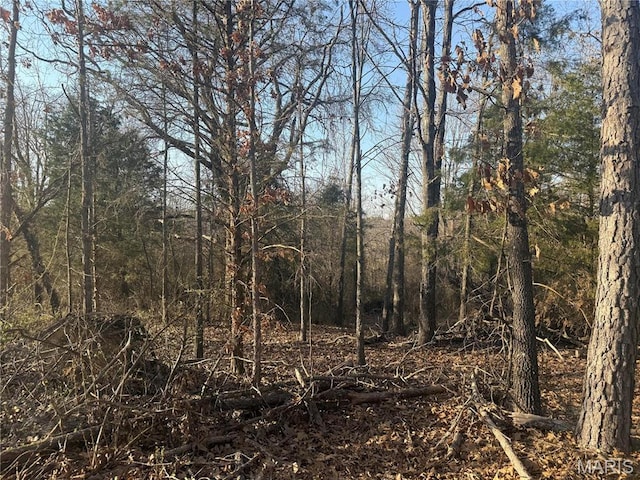 2887 County Road 5620, Willow Springs, MO 65789 - view of tree filled area