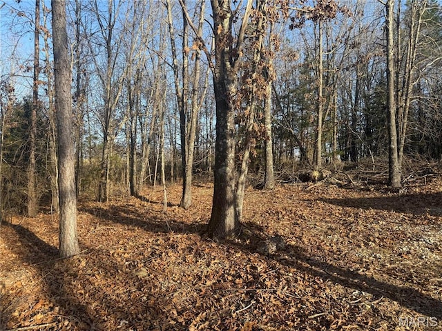 2887 County Road 5620, Willow Springs, MO 65789 - view of undeveloped land