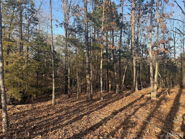 2887 County Road 5620, Willow Springs, MO 65789 - view of woods