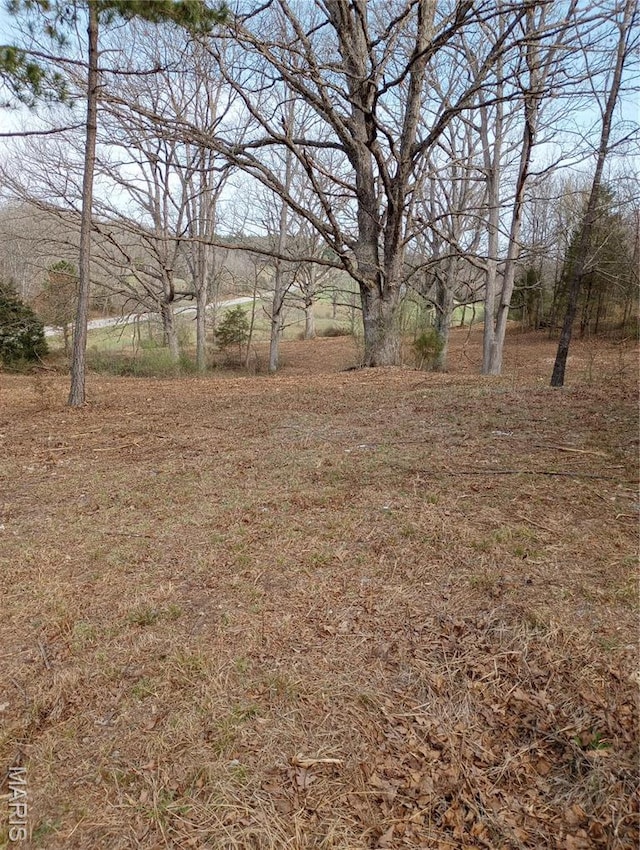 2887 County Road 5620, Willow Springs, MO 65789 - view of yard
