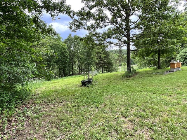 2887 County Road 5620, Willow Springs, MO 65789 - view of grassy yard