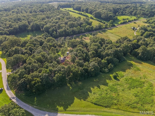 2887 County Road 5620, Willow Springs, MO 65789 - photo 37