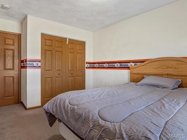 100 Fairway Dr, Waterloo, IL 62298 - carpeted bedroom with a closet