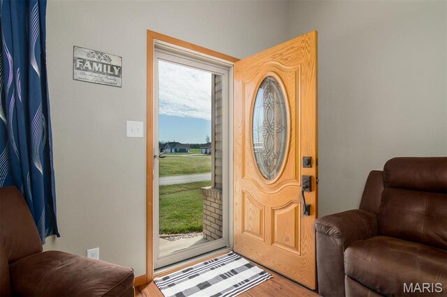 15919 Candy Corner Ln, Carlyle, IL 62231 - entrance foyer featuring wood finished floors