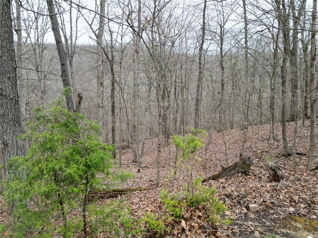 4072 Osage Rdg, House Springs, MO 63051 - view of wooded area