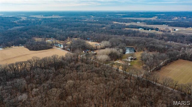 0 Duffs Ln, Hillsboro, IL 62049 - photo 4