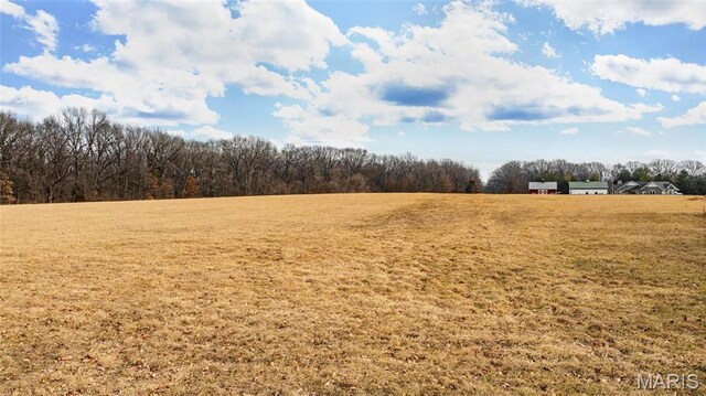 0 Duffs Ln, Hillsboro, IL 62049 - photo 6