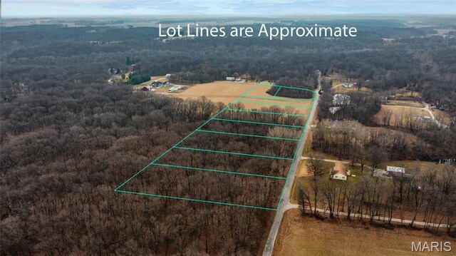 0 Duffs Ln, Hillsboro, IL 62049 - photo 7