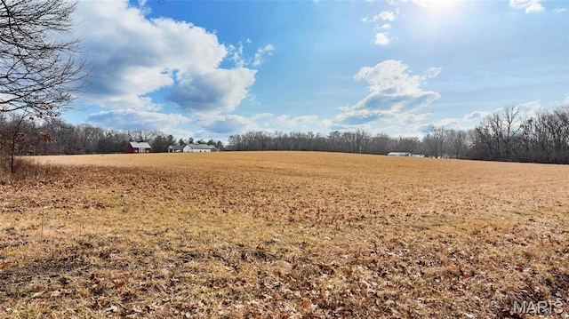 0 Duffs Ln, Hillsboro, IL 62049 - photo 9