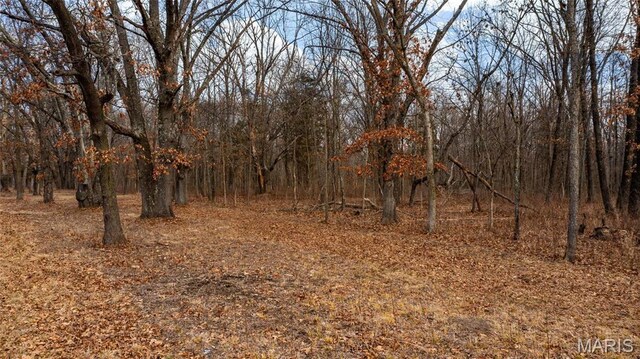 0 Duffs Ln, Hillsboro, IL 62049 - photo 10