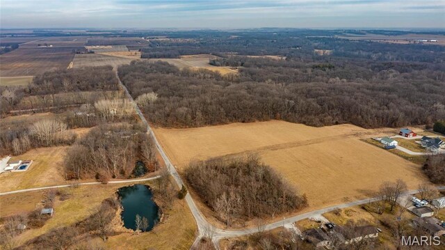 0 Duffs Ln, Hillsboro, IL 62049 - photo 11