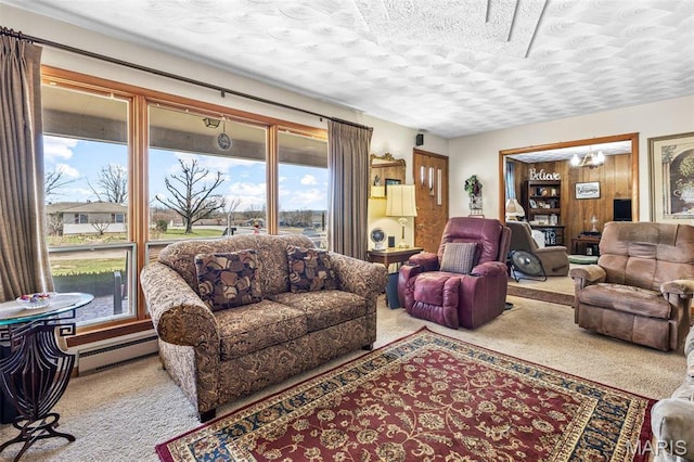 113 S Madison St, Desloge, MO 63601 - living room featuring carpet, healthy amount of natural light, and a textured ceiling