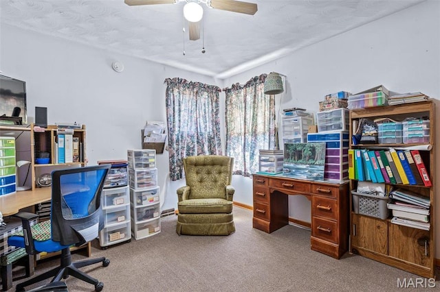 113 S Madison St, Desloge, MO 63601 - carpeted office featuring ceiling fan