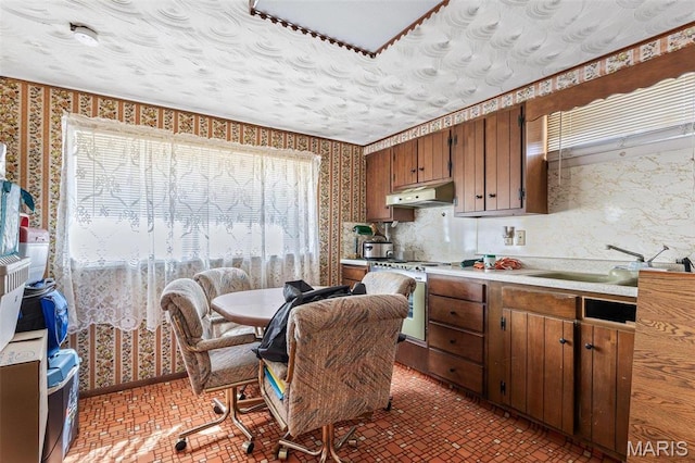 113 S Madison St, Desloge, MO 63601 - kitchen with white range with gas stovetop, a sink, wallpapered walls, brick patterned flooring, and light countertops
