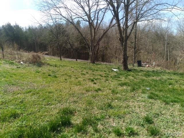 4158 Walker Hl, De Soto, MO 63020 - view of yard