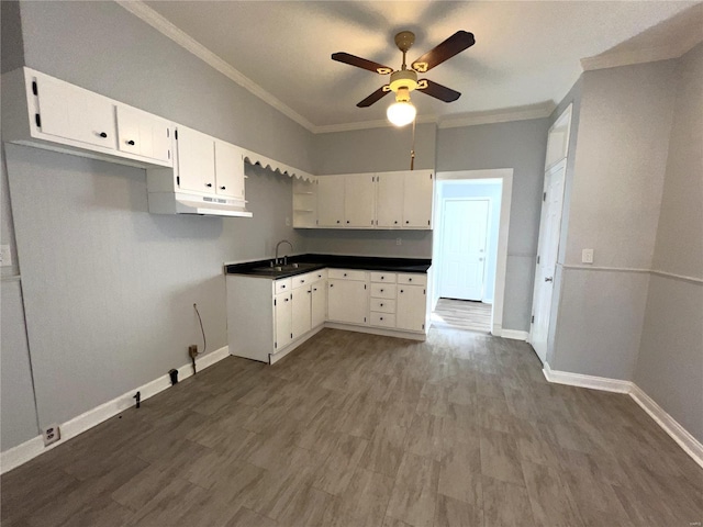 4720 Goethe Ave, Saint Louis, MO 63116 - kitchen with crown molding, a sink, a ceiling fan, under cabinet range hood, and baseboards