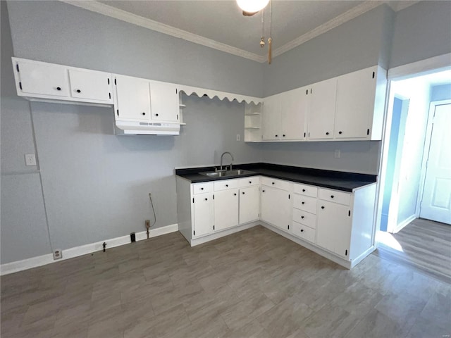 4720 Goethe Ave, Saint Louis, MO 63116 - kitchen featuring a sink, ornamental molding, open shelves, white cabinetry, and baseboards