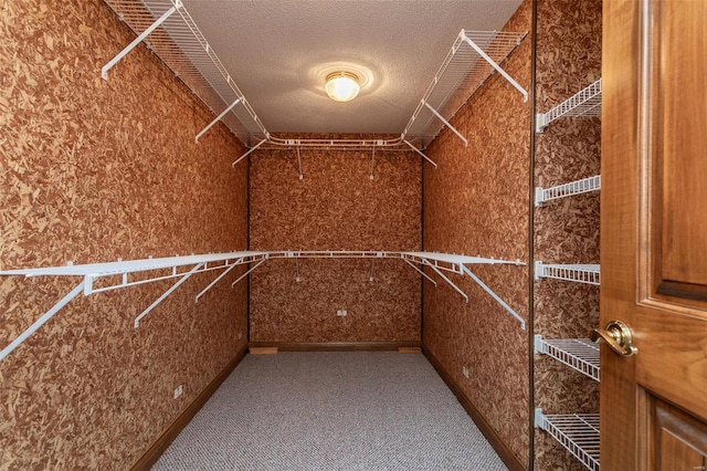 walk in closet with carpet floors