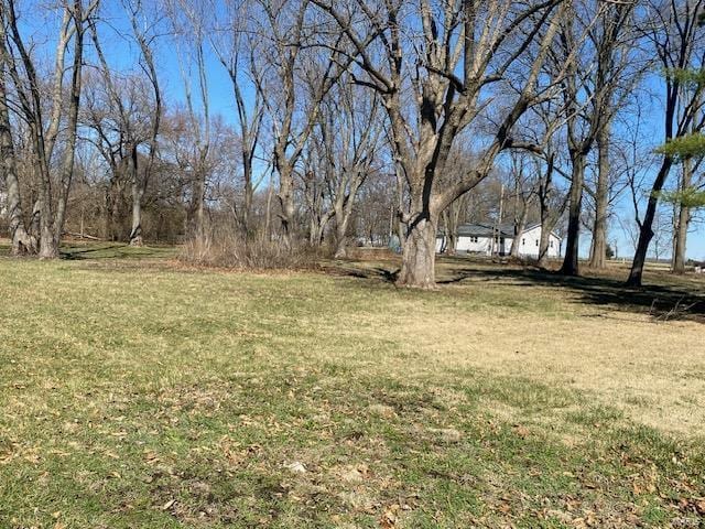 view of grassy yard