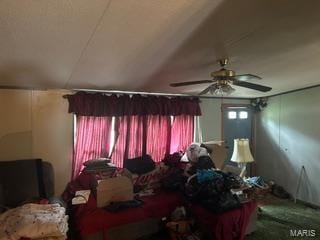 19050 Sikes Rd, Saint Genevieve, MO 63670 - bedroom featuring ceiling fan