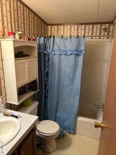 19050 Sikes Rd, Saint Genevieve, MO 63670 - full bath with toilet and vanity
