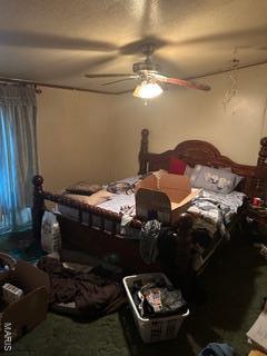 19050 Sikes Rd, Saint Genevieve, MO 63670 - bedroom featuring ceiling fan