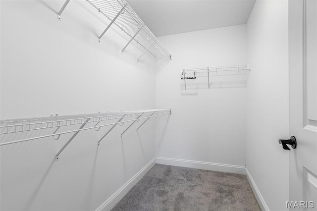 533 Windsor Ln, Farmington, MO 63640 - spacious closet with light colored carpet