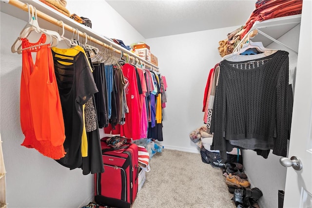 walk in closet with carpet floors
