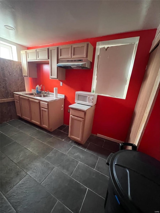 5276 Genevieve Ave, Saint Louis, MO 63120 - kitchen featuring under cabinet range hood, a sink, white microwave, and dark tile patterned flooring