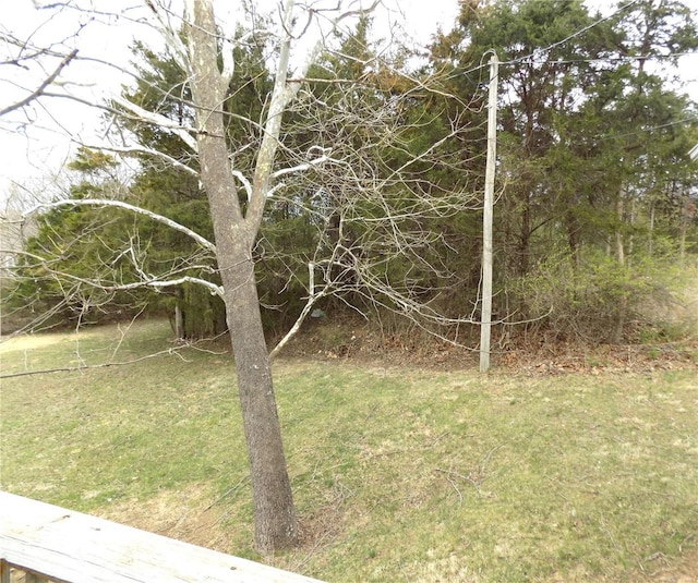 view of green lawn