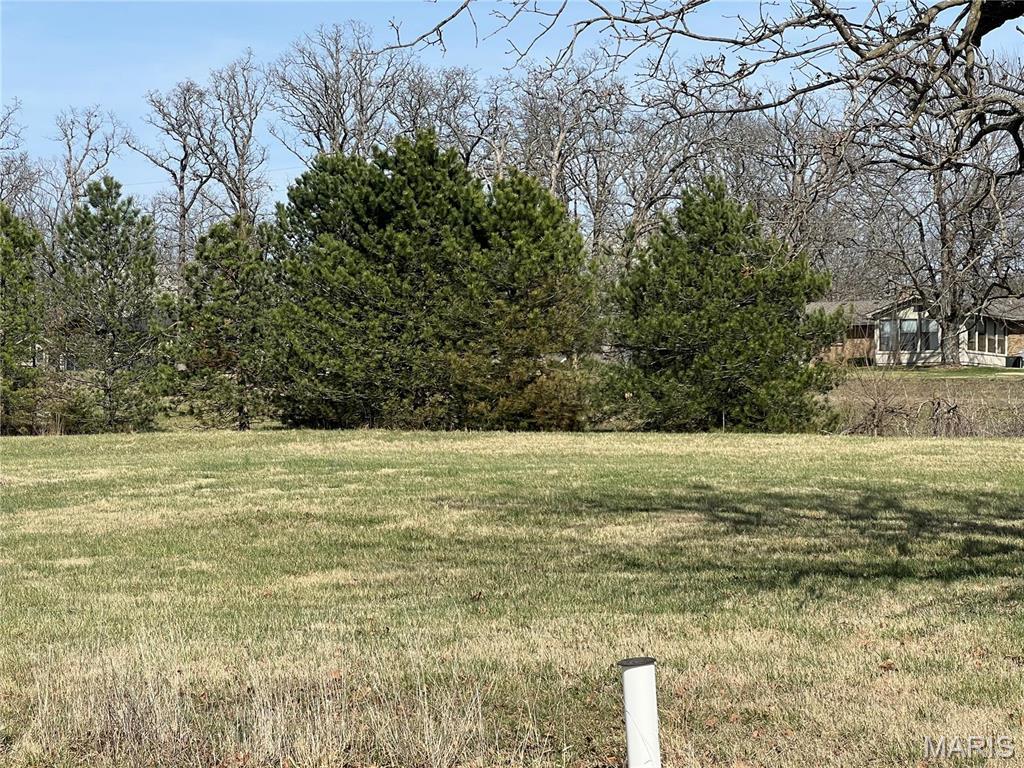31 Ontario Dr, Lebanon, MO 65536