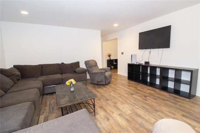 21680 N Horizonway N, Saint Robert, MO 65584 - living area with wood finished floors and recessed lighting