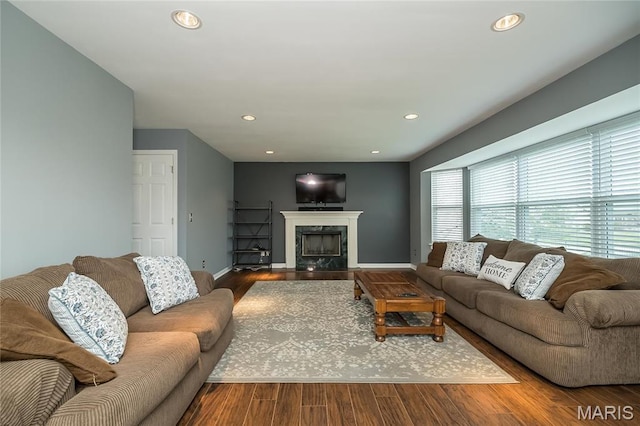living area with wood finished floors, a fireplace, baseboards, and recessed lighting