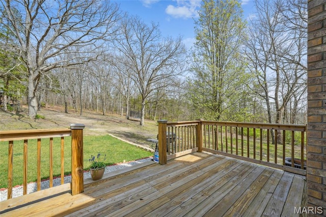 205 Sandstone Ct, Festus, MO 63028 - photo 24