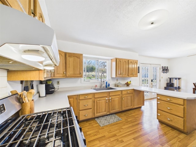 16892 Beaufort Rd, Crocker, MO 65452 - kitchen featuring a sink, stainless steel gas range, extractor fan, light wood finished floors, and light countertops