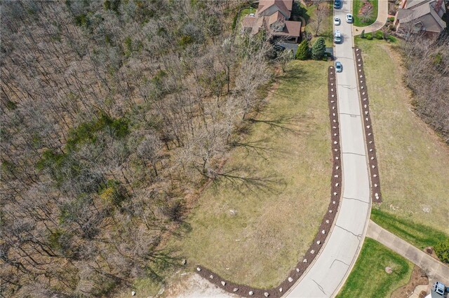 380 Merlot Ln, Saint Albans, MO 63073 - photo 8