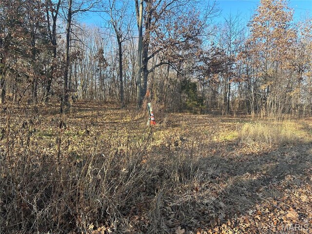 35 Wagon Creek Loop, Creal Springs, IL 62922