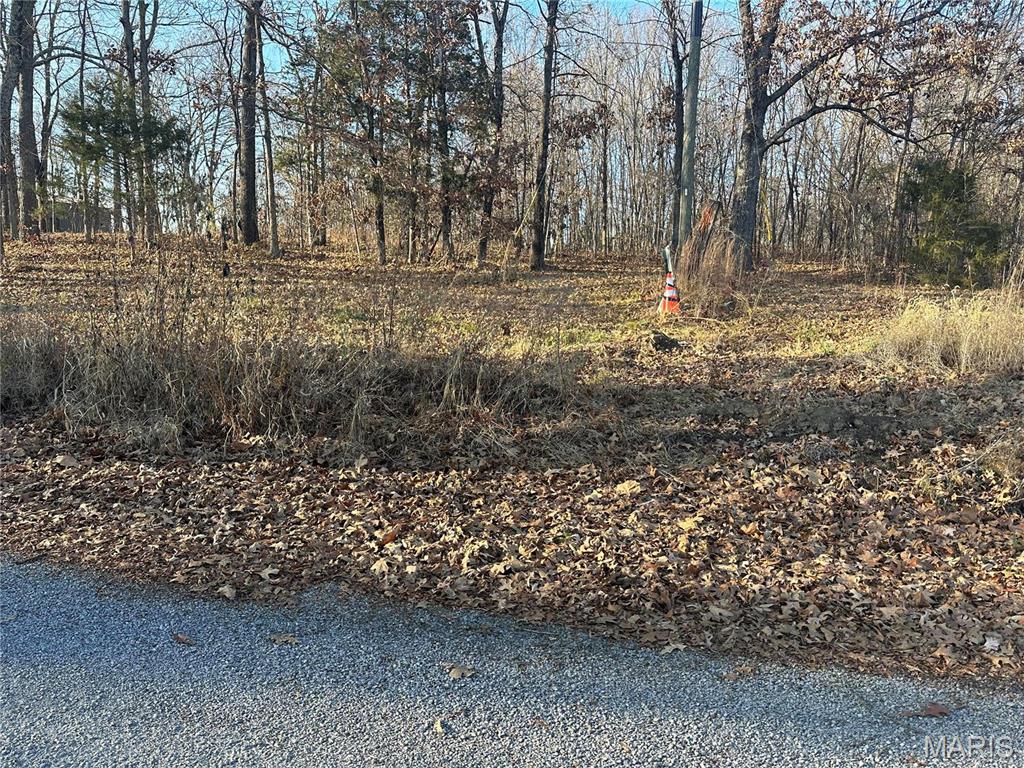 35 Wagon Creek Loop, Creal Springs, IL 62922