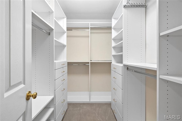 7310 Westover Colonial Ln, Saint Louis, MO 63119 - walk in closet featuring light colored carpet