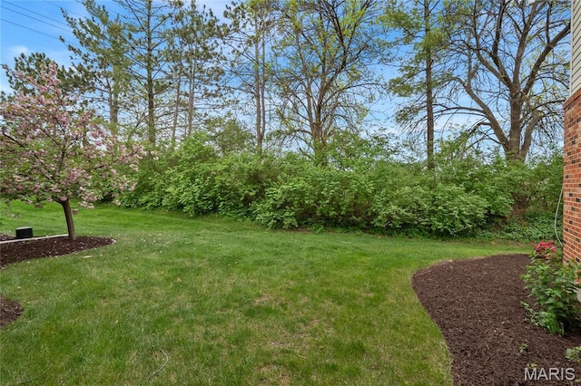 7310 Westover Colonial Ln, Saint Louis, MO 63119 - view of grassy yard