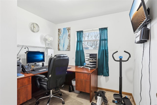 office featuring carpet floors
