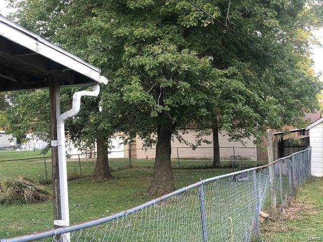 123 S Main St, Witt, IL 62094 - view of yard