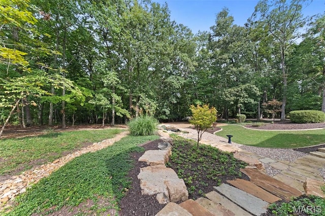 view of green lawn