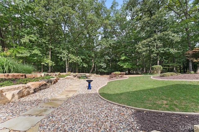 view of green lawn