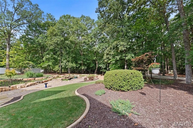 view of yard with view of wooded area